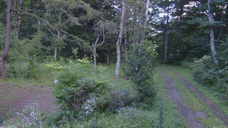 長野県菅平高原 ゆたか山荘 坂上 2026/08/24 14:15