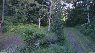 長野県菅平高原 ゆたか山荘 坂上 2026/08/24 15:15
