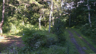 長野県菅平高原 ゆたか山荘 坂上 2026/08/24 15:30