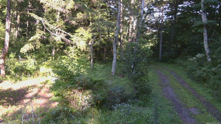 長野県菅平高原 ゆたか山荘 坂上 2026/08/24 16:15