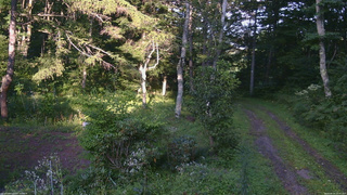 長野県菅平高原 ゆたか山荘 坂上 2026/08/24 16:45