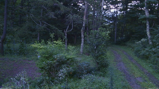 長野県菅平高原 ゆたか山荘 坂上 2026/08/24 17:15