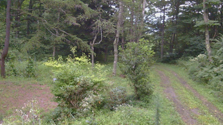 長野県菅平高原 ゆたか山荘 坂上 2026/08/24 18:15