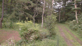 長野県菅平高原 ゆたか山荘 坂上 2026/08/24 18:30
