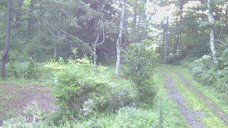長野県菅平高原 ゆたか山荘 坂上 2026/08/25 05:30