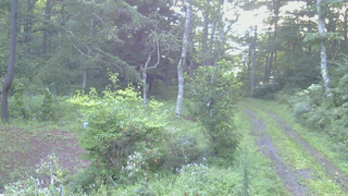 長野県菅平高原 ゆたか山荘 坂上 2026/08/25 05:45