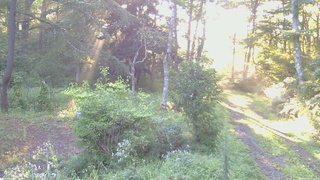 長野県菅平高原 ゆたか山荘 坂上 2026/08/25 06:00