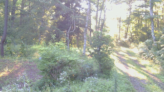 長野県菅平高原 ゆたか山荘 坂上 2026/08/25 06:15