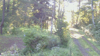 長野県菅平高原 ゆたか山荘 坂上 2026/08/25 06:30
