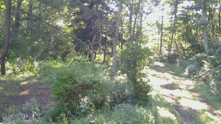 長野県菅平高原 ゆたか山荘 坂上 2026/08/25 07:15