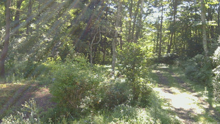 長野県菅平高原 ゆたか山荘 坂上 2026/08/25 08:15