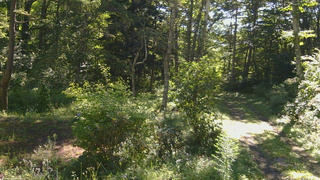 長野県菅平高原 ゆたか山荘 坂上 2026/08/25 08:45