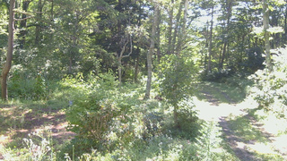 長野県菅平高原 ゆたか山荘 坂上 2026/08/25 09:00
