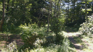 長野県菅平高原 ゆたか山荘 坂上 2026/08/25 09:15