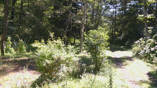 長野県菅平高原 ゆたか山荘 坂上 2026/08/25 10:00