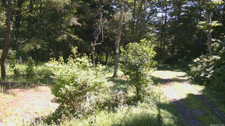 長野県菅平高原 ゆたか山荘 坂上 2026/08/25 10:45