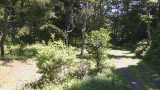 長野県菅平高原 ゆたか山荘 坂上 2026/08/25 11:00
