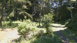 長野県菅平高原 ゆたか山荘 坂上 2026/08/25 11:15