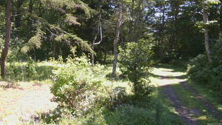 長野県菅平高原 ゆたか山荘 坂上 2026/08/25 11:30