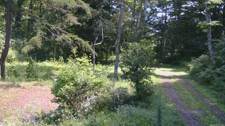 長野県菅平高原 ゆたか山荘 坂上 2026/08/25 11:45