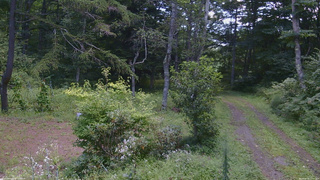長野県菅平高原 ゆたか山荘 坂上 2026/08/25 12:00