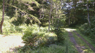 長野県菅平高原 ゆたか山荘 坂上 2026/08/25 12:30