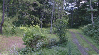 長野県菅平高原 ゆたか山荘 坂上 2026/08/25 12:45