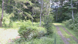 長野県菅平高原 ゆたか山荘 坂上 2026/08/25 13:00