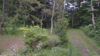 長野県菅平高原 ゆたか山荘 坂上 2026/08/25 13:30