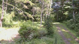 長野県菅平高原 ゆたか山荘 坂上 2026/08/25 13:45