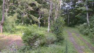 長野県菅平高原 ゆたか山荘 坂上 2026/08/25 14:15