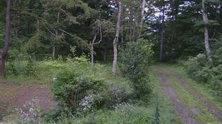 長野県菅平高原 ゆたか山荘 坂上 2026/08/25 15:00