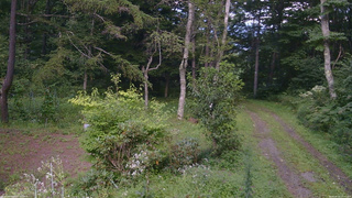 長野県菅平高原 ゆたか山荘 坂上 2026/08/25 15:30