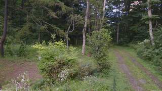 長野県菅平高原 ゆたか山荘 坂上 2026/08/25 15:45