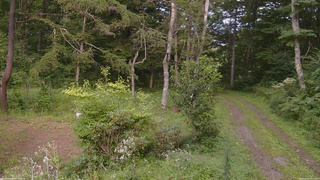 長野県菅平高原 ゆたか山荘 坂上 2026/08/25 16:00