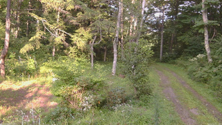 長野県菅平高原 ゆたか山荘 坂上 2026/08/25 16:15