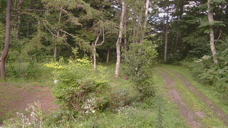 長野県菅平高原 ゆたか山荘 坂上 2026/08/25 16:30