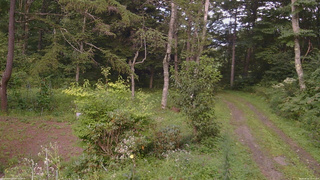 長野県菅平高原 ゆたか山荘 坂上 2026/08/25 16:45