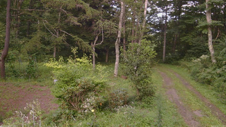 長野県菅平高原 ゆたか山荘 坂上 2026/08/25 17:00
