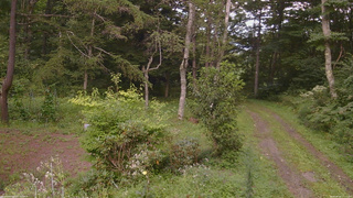 長野県菅平高原 ゆたか山荘 坂上 2026/08/25 17:15