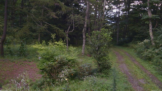 長野県菅平高原 ゆたか山荘 坂上 2026/08/25 17:30