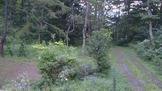 長野県菅平高原 ゆたか山荘 坂上 2026/08/25 17:45