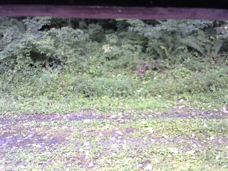長野県菅平高原 ゆたか山荘 東側(坂下) 2026/08/26 08:15