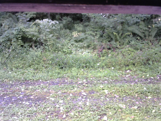 長野県菅平高原 ゆたか山荘 東側(坂下) 2026/08/26 09:15