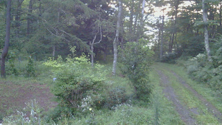 長野県菅平高原 ゆたか山荘 坂上 2026/08/26 05:15