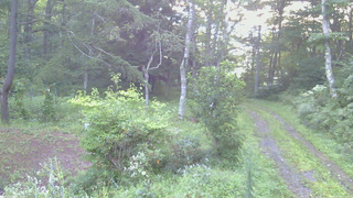 長野県菅平高原 ゆたか山荘 坂上 2026/08/26 05:30