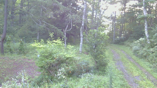 長野県菅平高原 ゆたか山荘 坂上 2026/08/26 05:45
