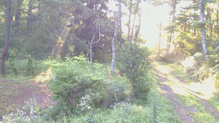 長野県菅平高原 ゆたか山荘 坂上 2026/08/26 06:00