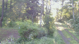 長野県菅平高原 ゆたか山荘 坂上 2026/08/26 06:30