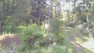 長野県菅平高原 ゆたか山荘 坂上 2026/08/26 06:45